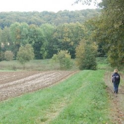 Parkvrienden